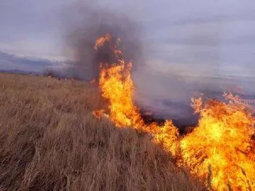Ситуації із підпалами сухої трави є критичними — міністр екології