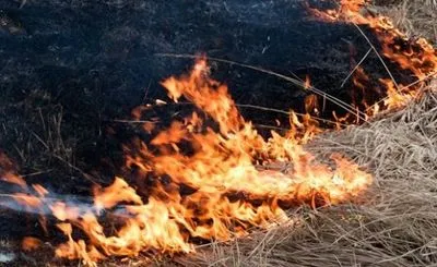 Спасатели предупреждают о пожарной опасности в Киевской области