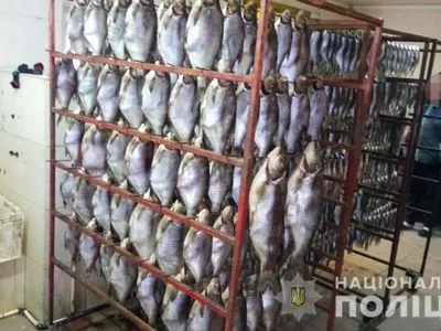 Подпольное производство копченой и вяленой рыбы разоблачили под Днепром