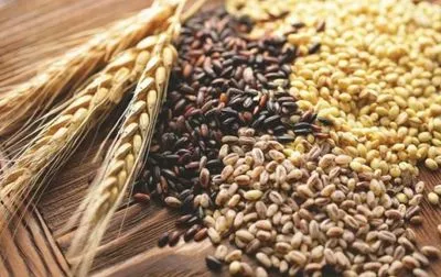 Украина экспортировала уже более 38,6 млн тонн зерновых