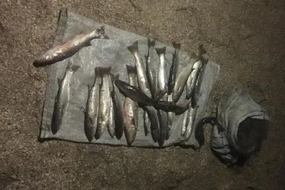 В Азовском море задержали браконьера, который нанес более 15 тыс. грн убытков