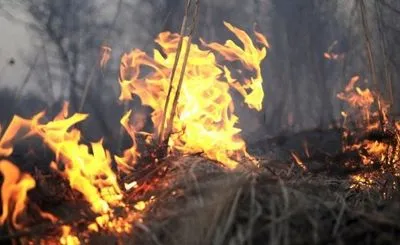 В Киевской области сохраняется пожарная опасность