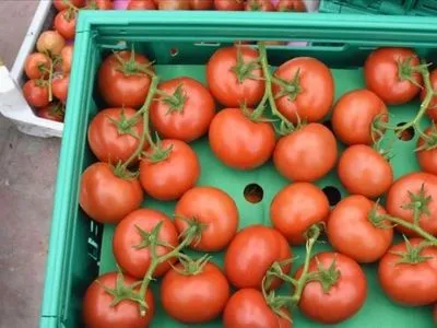 Туреччина нарощує експорт томатів в Росію