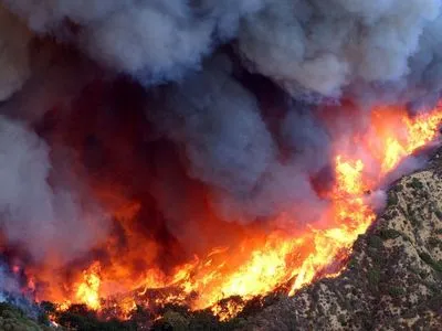 За прошлый год в Украине произошло около 1,3 тысячи лесных пожаров