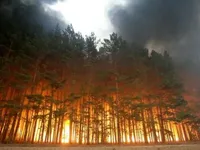 У Київській області зберігається пожежна небезпека