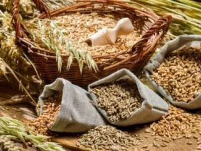 Украина увеличила экспорт зерна