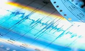 На востоке Турции произошло землетрясение магнитудой 4,5 балла