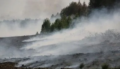 В Житомирской области почти неделю горели торфяники на площади 3 га