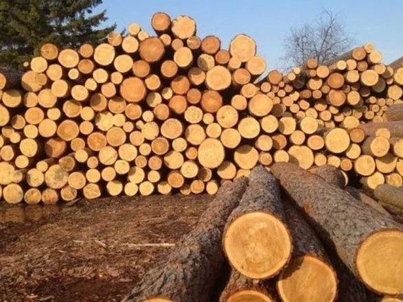 Цього року ДФС порушено близько 40 справ про незаконне вивезення лісоматеріалів