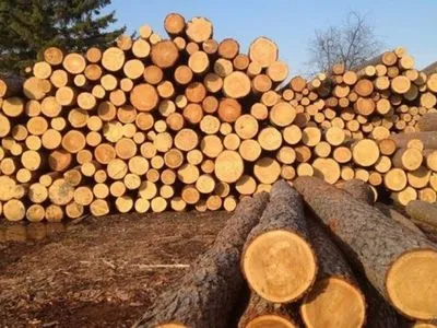 В этом году ГФС возбуждено около 40 дел о незаконном вывозе лесоматериалов