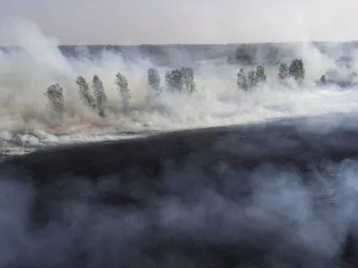 В России от пожаров в Забайкальском крае пострадали 23 человека