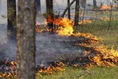 На Чернігівщині горить 15 гектарів лісу