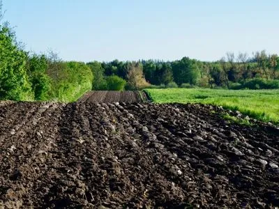 В Украине посеяли почти 1,5 млн га раннего ярового ячменя