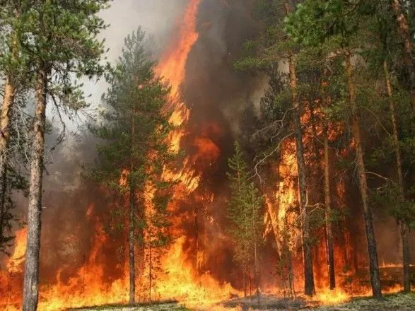 Цього року на відкритих територіях сталося понад 10 тисяч пожеж