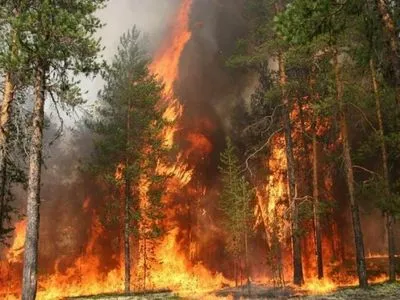 В этом году на открытых территориях произошло более 10 тысяч пожаров