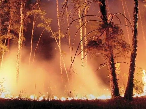 У Казахстані горить ліс