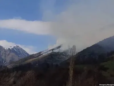 В Гудамакарском ущелье Грузии горит лесной покров