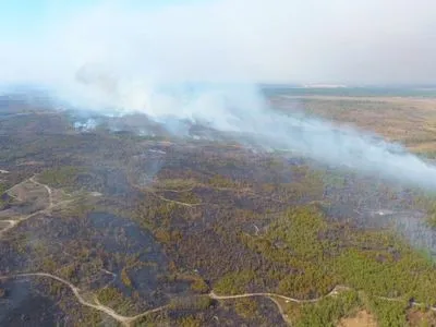 Из Беларуси на Украину надвигаются лесные пожары: на границе дежурят спасатели