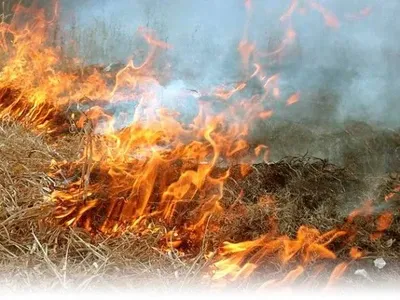 В Украине сохраняется высокая пожарная опасность