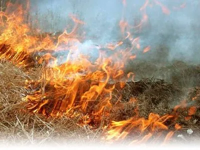 В Украине сохраняется высокая пожарная опасность