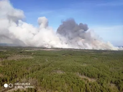 Пожар в лесничестве в Житомирской области потушили