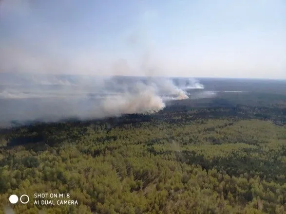 Пожар на территории лесничества в Житомирской области локализовали