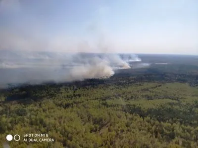 Пожежу на території лісництва на Житомирщині локалізували