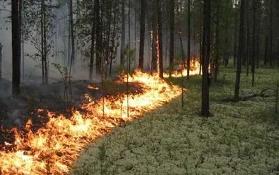 Триває ліквідація лісової пожежі на території Овруцького та Олевського районів