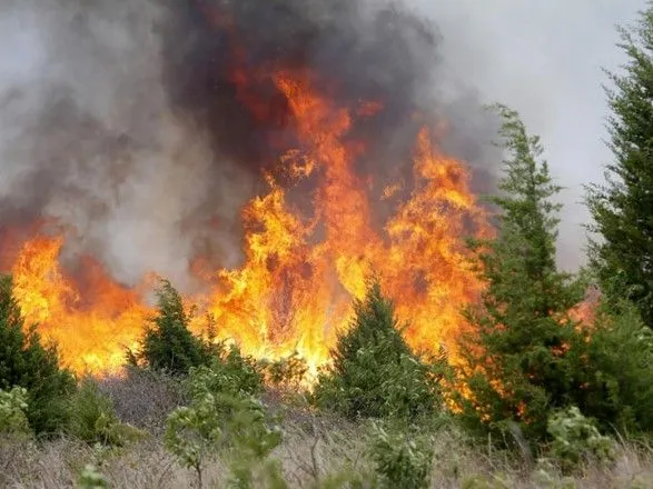 Украинцев предупредили о высокой пожарной опасности