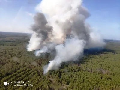 ГСЧС: в Житомирской области горят 15 га лесного массива