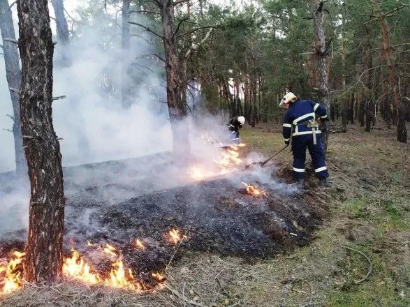 На Дніпропетровщині ліквідували лісову пожежу