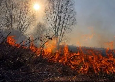 Украинцев предупредили о чрезвычайной пожарной опасности в день Пасхи