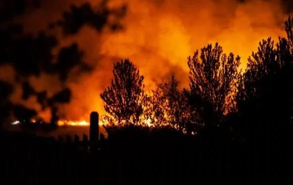 В Великобритании произошел пожар в родном лесу Винни-Пуха