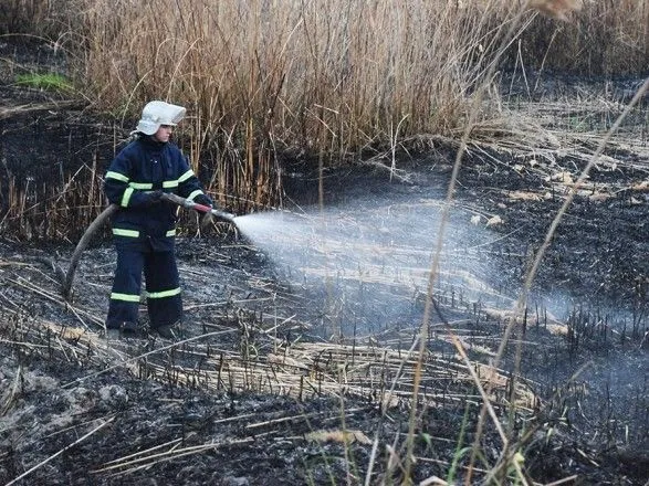 В Николаеве в один день горели камыши и хвойная подстилка в разных районах города