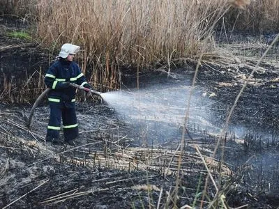 В Николаеве в один день горели камыши и хвойная подстилка в разных районах города