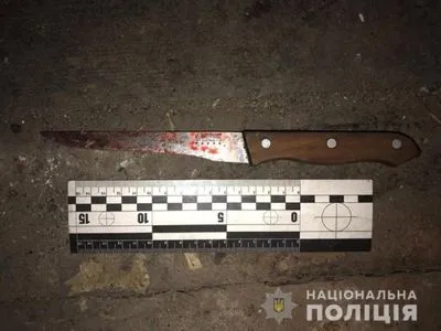 Женщина во время пьяной ссоры убила ножом сожителя в Донецкой области