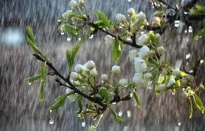 Дощі протримаються в Україні до кінця тижня
