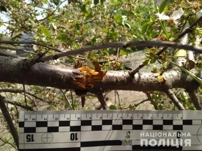 На Харківщині невідомі кинули гранату на подвір’я