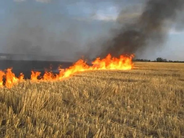 В Україні суттєво загострилася ситуація через спалювання сухої рослинності