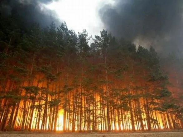 В Украине за сутки возникает до 100 пожаров в экосистемах - ГСЧС
