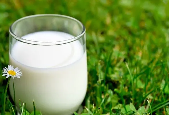 В Украине уменьшилось производство молока
