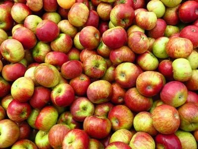 Експорт з Польщі стримає подальший ріст цін на яблука в Україні