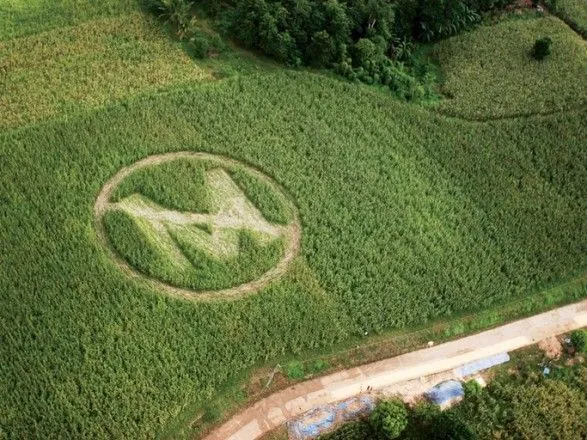 Французы начали расследование в отношении производителя ГМО и гербицидов Monsanto