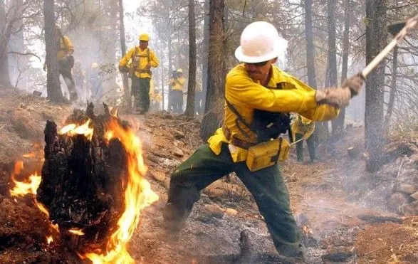 На заході Канади почалася евакуація населення через лісові пожежі