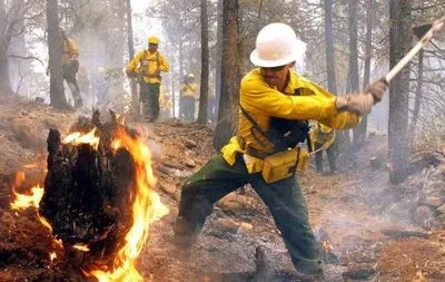 На западе Канады началась эвакуация населения из-за лесных пожаров