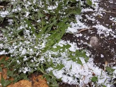 В Казахстане выпал майский снег