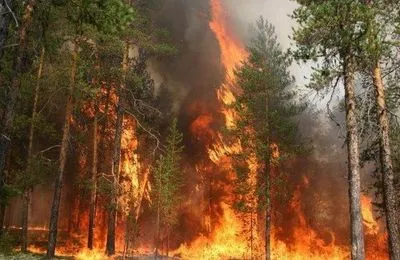 У Росії горять понад 20 тис. га лісу