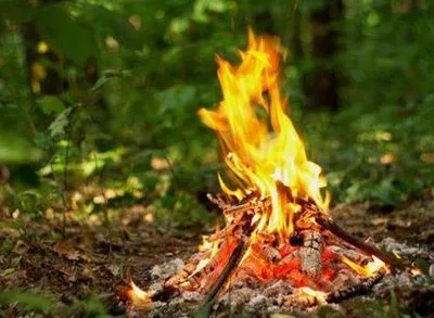 Киевлян предупредили о высоком уровне пожарной опасности