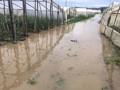 На Закарпатье из-за сильных дождей подтоплены три района