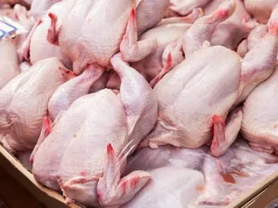 Украина стала мировым лидером по темпу прироста куриного экспорта